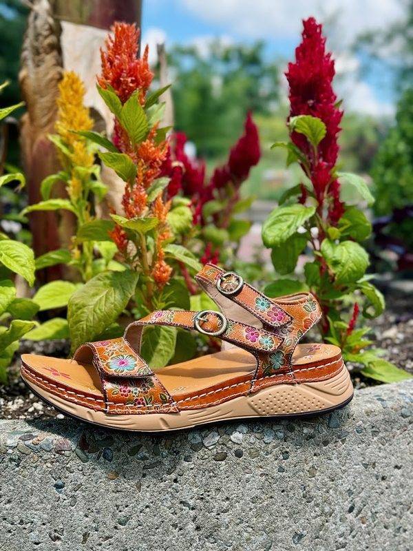 Roderer Shoe Center